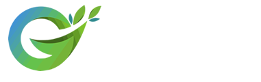 Fast Speed Platform Tour - GuideSeed